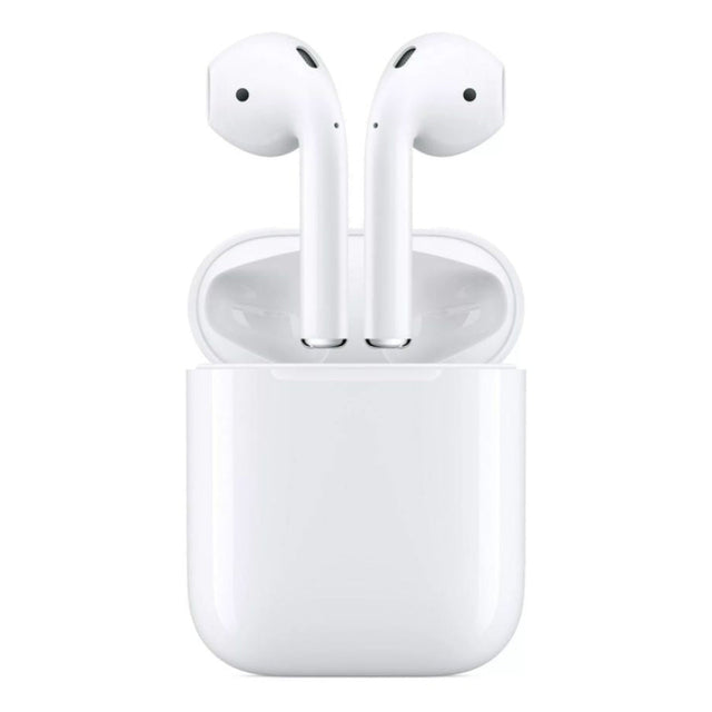 מאסטר פודס דור שני